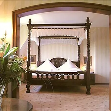 Burghotel Hotel 3*