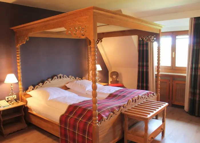 Hotel Burghotel 3*
